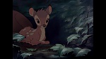 Bambi picture