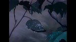 Bambi picture