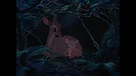 Bambi picture