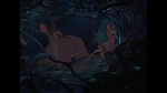 Bambi picture