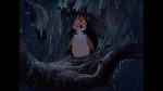 Bambi picture