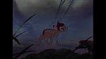 Bambi picture
