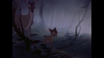 Image Bambi