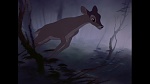 Bambi picture