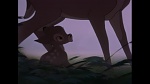 Bambi picture