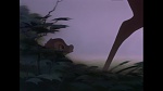 Bambi picture