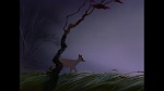 Bambi picture