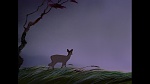 Bambi picture