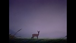Bambi picture