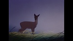 Bambi picture