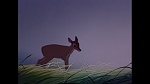 Bambi picture