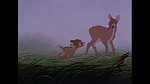 Bambi picture