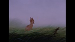 Bambi picture
