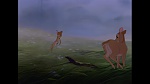 Bambi picture