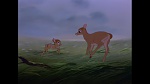 Bambi picture