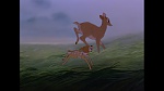 Bambi picture