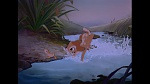 Bambi picture