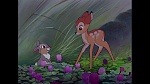 Bambi picture
