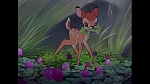 Bambi picture