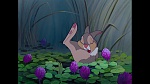 Bambi picture