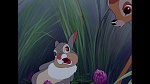 Image Bambi