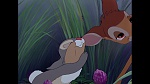 Bambi picture
