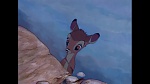Bambi picture