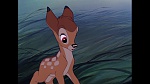 Bambi picture