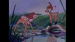 Bambi picture