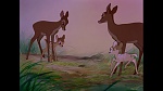 Bambi picture