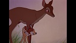 Bambi picture