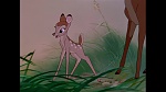 Bambi picture