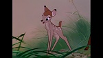 Bambi picture
