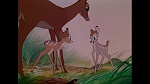 Image Bambi