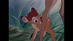 Bambi picture