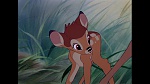 Bambi picture
