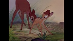 Image Bambi
