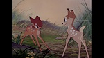 Image Bambi