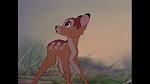 Bambi picture