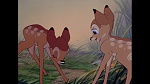 Bambi picture
