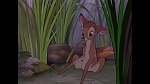 Bambi picture