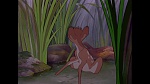 Bambi picture
