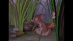 Bambi picture