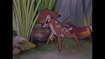 Bambi picture