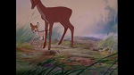 Bambi picture