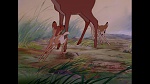 Image Bambi