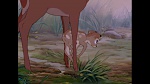 Bambi picture