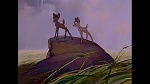 Image Bambi