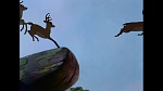 Bambi picture