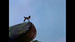 Bambi picture